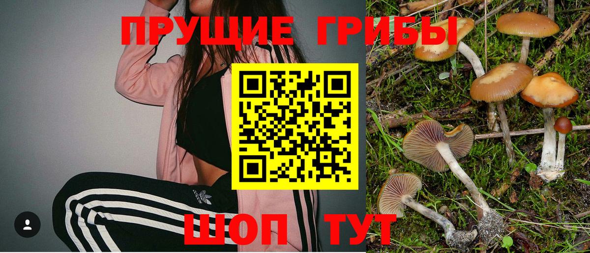 Галлюциногенные грибы Psilocybe  купить наркотик  Моршанск  Вход с VPN 
